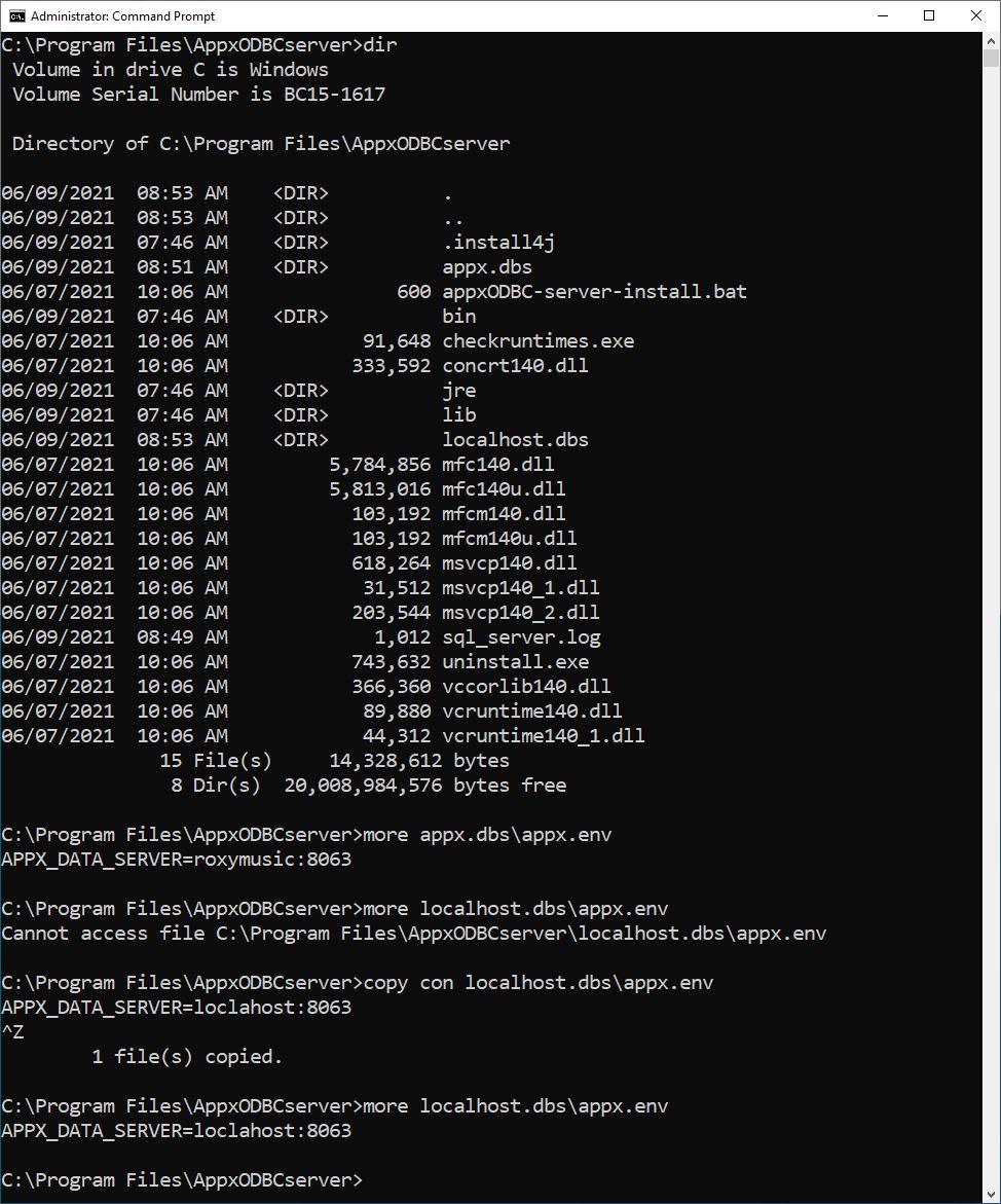ODBC_Driver_appx_env.JPG